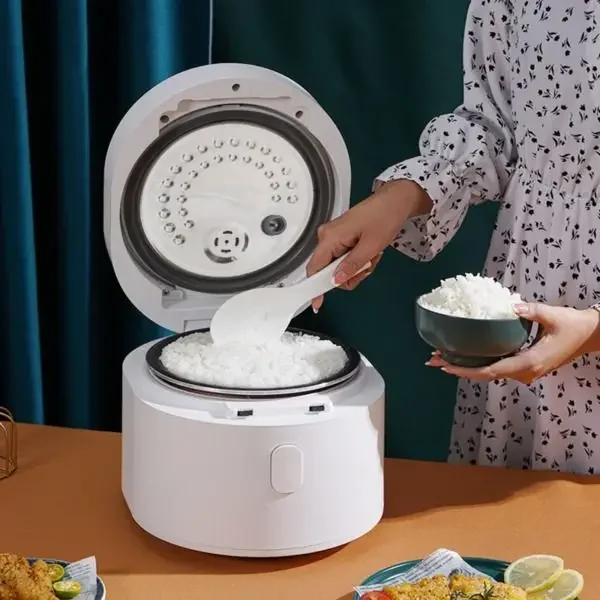 110v akıllı pirinç pişirici 3L - Baby Food Japan incelemesi ve fiyatı